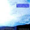 Holy Spirit Music - The Beauty of Heaven - Single