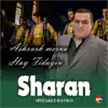 Spitakci Hayko - Sharan (Ashxarh Merna, Hay Fidayin) - Single