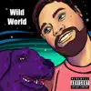 Steve Kudzu - Wild World - Single