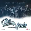 Banda Caña Verde - Dime Si Te Gustó - Single