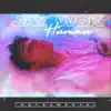 Jay Wok - Human (Instrumental) - Single