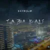 Shymsvm - Taza kaif - Single