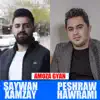 Saywan Xamzay & Peshraw Hawrami - Amoza Gyan