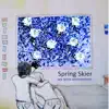 Spring Skier - We Were Astronomers