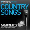 Stingray Music - Karaoke Hits: In the Style of the Desert Rose Band, Vol. 1 - Single