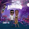 Dammydee - Amebo (Single)