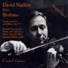 The Seattle Youth Symphony Orchestra, Stratford Festival Orchestra, Vilem Sokol, George Schick & David Nadien - David Nadien Plays Brahms