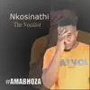 Nkosinathi Nkuna - Amabhoza - Single