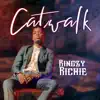 Kingzy Richie - Catwalk - Single