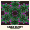 Veaceslav Draganov - Kaleidoscope - Single