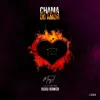 Mary J - Chama Do Amor (feat. Xuxu Bower) - Single