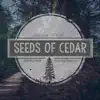 Life After Dark - Seeds of Cedar (feat. Victoria Banks) - Single